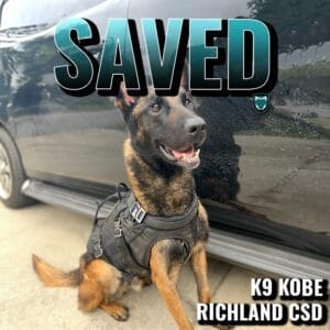 hero K9 dog kobe posing for camera